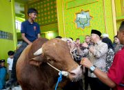 Gubernur Lampung Serahkan Bantuan Sapi Kurban dari Presiden RI
