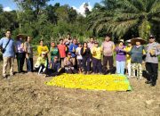 Presiden RI Pimpin Panen Raya Jagung Serentak: Nasional Menuju Swasembada Pangan