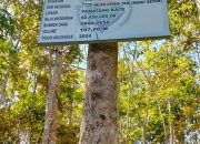 Diduga Asal Jadi, Baru 1 Tahun Rabat Beton Desa Padang Jati Terindikasi Sudah Banyak Hancur.