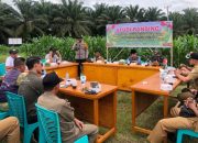 Polsek Mukok Gagas Demplot Jagung Hibrida, Jadi Contoh Nyata Dukung Swasembada Pangan Nasional