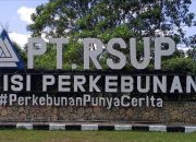 Kejati Riau Tegaskan 237 Ha Lahan PT RSUP Masuk Kawasan Hutan
