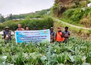 Perkuat Petani Milenial  Kabupaten Jayawijaya Mendorong Magang/Bimtek Kabupaten Magelang Provinsi Jawa Tengah