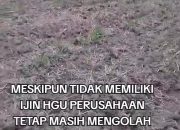 Izin HGU Sudah Habis, Masyarakat Minta Bupati Lampung Utara Bersikap Tegas Terhadap Perusahaaan