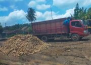 Ancam Kenyamanan dan Kesehatan Warga Sekitar, Diduga Lapak Singkong Di Desa Kembang Tanjung Milik ” SKM ” Timbulkan Bau Busuk