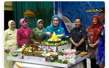 Hari Kesatuan Gerak PKK ke-54 OKU, Zwesty: Efisiensi Bukan Halangan untuk Terus Berkarya