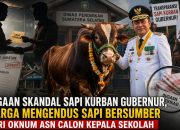 Dugaan Skandal Sapi Kurban Gubernur, Aktivis Soroti Dugaan Jual Beli Jabatan di Diknas Sumsel