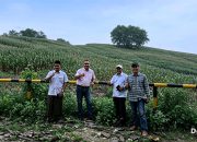 DPW AMPETRA Jateng Dampingi Direktur Bahas Struktur Saham dan Ekuitas, Tekankan Prinsip Ramah Lingkungan