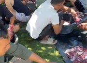 Semangat Qurban Idul Adha 2026, Ridwan Sekeluarga Sembelih 1 Ekor Kerbau