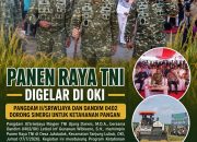 Panen Raya TNI Digelar di OKI: Pangdam II/Sriwijaya dan Dandim 0402 Dorong Sinergi untuk Ketahanan Pangan