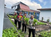 Optimalisasi lahan pertanian: kalapas Bengkalis dan jajaran panen 100 kilogram kangkung