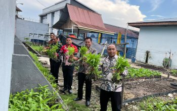 Optimalisasi lahan pertanian: kalapas Bengkalis dan jajaran panen 100 kilogram kangkung