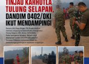 Danrem 044/Gapo Tinjau Karhutla Tulung Selapan, Dandim 0402/OKI Ikut Mendampingi